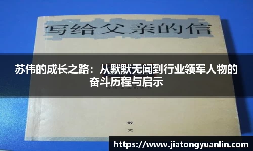苏伟的成长之路：从默默无闻到行业领军人物的奋斗历程与启示