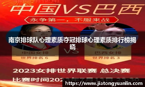 南京排球队心理素质夺冠排球心理素质排行榜揭晓