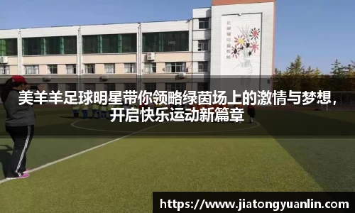 美羊羊足球明星带你领略绿茵场上的激情与梦想，开启快乐运动新篇章