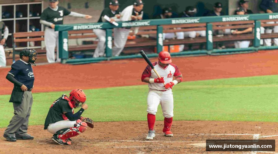 汗水浇灌梦想，坚持成就辉煌